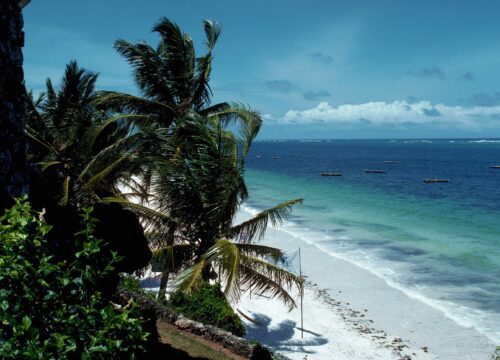 4 DAYS MOMBASA COASTAL CHARM AND CULTURAL DELIGHTS