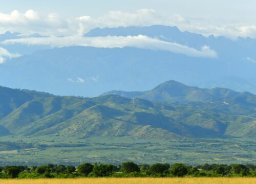 7 DAYS CONQUERING THE RWENZORI MAJESTY