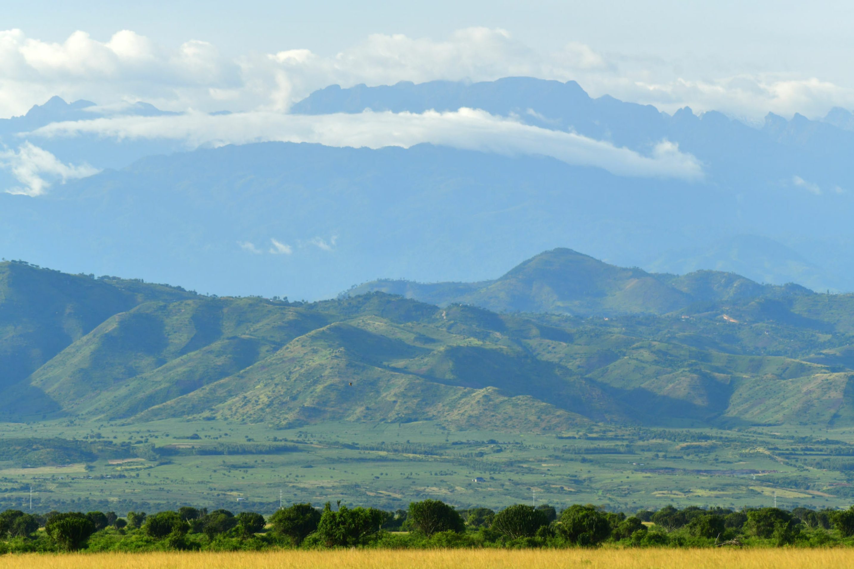 7 DAYS CONQUERING THE RWENZORI MAJESTY